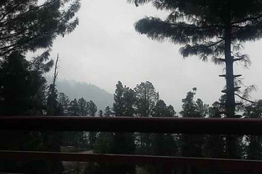 foto-1