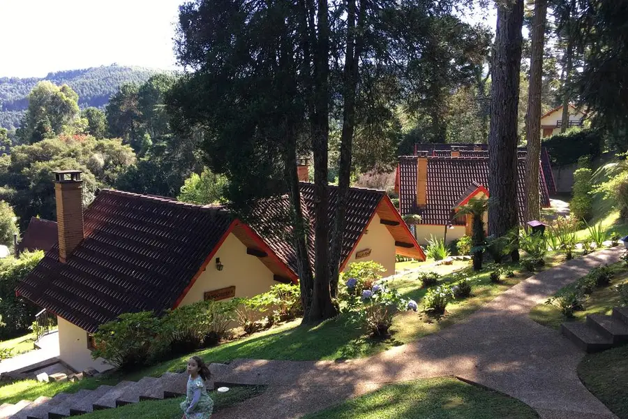 photo-1