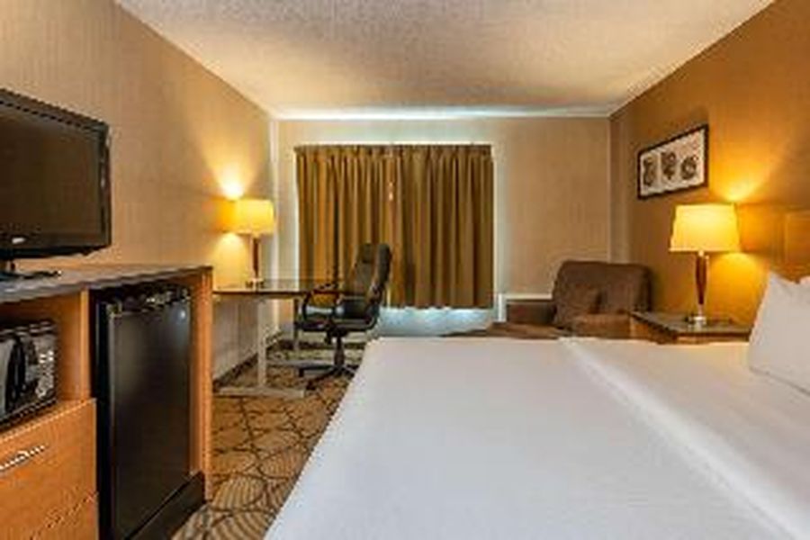 photo-1