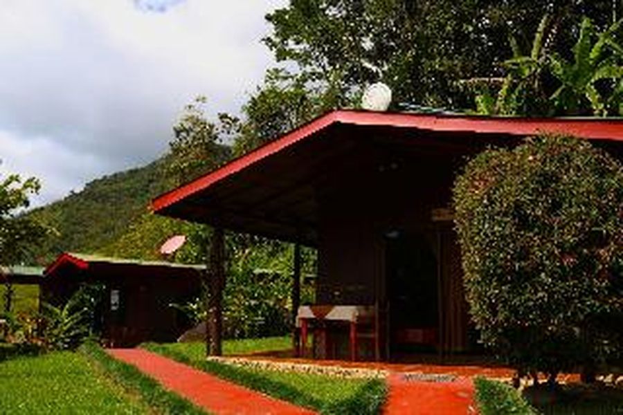 foto-0
