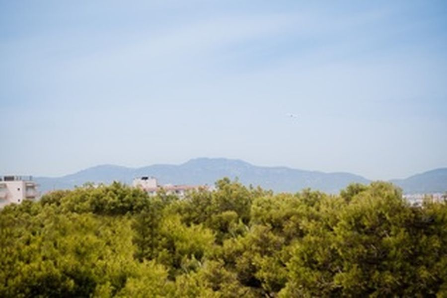 photo-0
