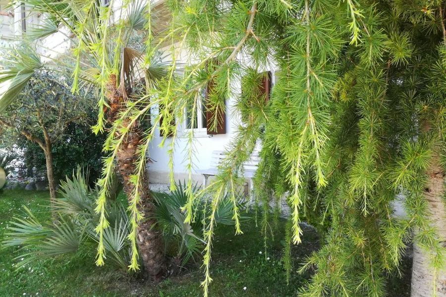 foto-2